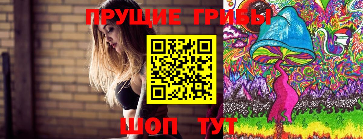 Псилоцибиновые грибы мухоморы  Псилоцибиновые грибы прущие грибы  Вход с VPN  купить наркотики сайты  Звенигород 